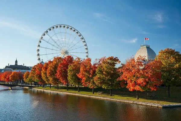 Autumn maples and the Ferris wheel at the Old Port of Montreal, Canada
